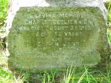 image of grave number 108073